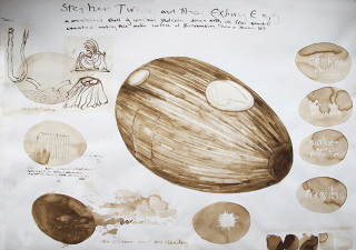 Illustration for article titled Uh, Why Is an Artist Living Inside a Floating Wooden Egg For a Year?